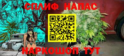 дмт Нягань