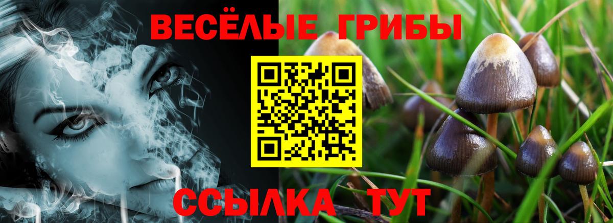 купить  цена  Псилоцибиновые грибы Cubensis  Вход с VPN  Советский 